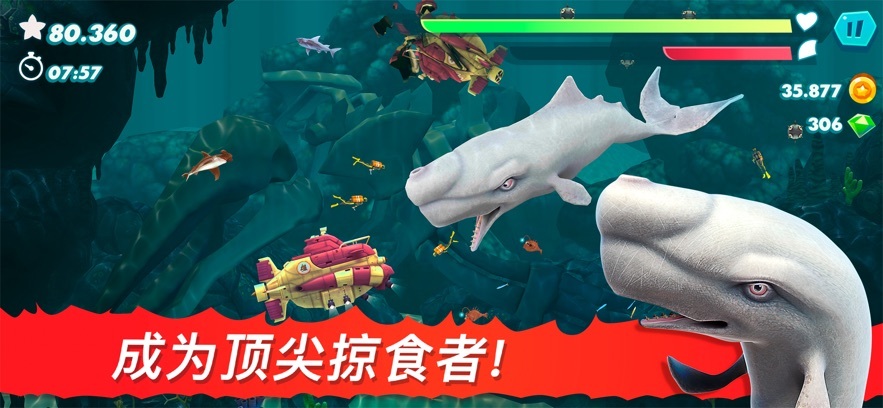 饥饿鲨进化神王维京鲨