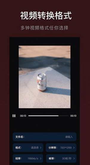 视频转换格式-图3