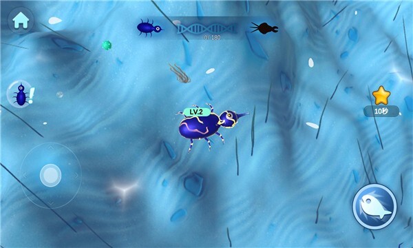 物种进化模拟器