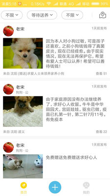 宠物领养-图1