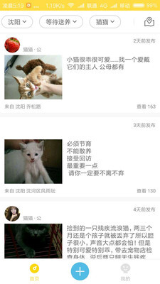 宠物领养-图3