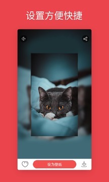 安卓动态壁纸-图4