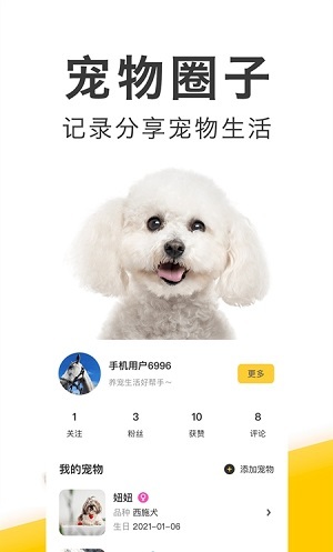 有只宠物-图3
