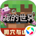 我的世界