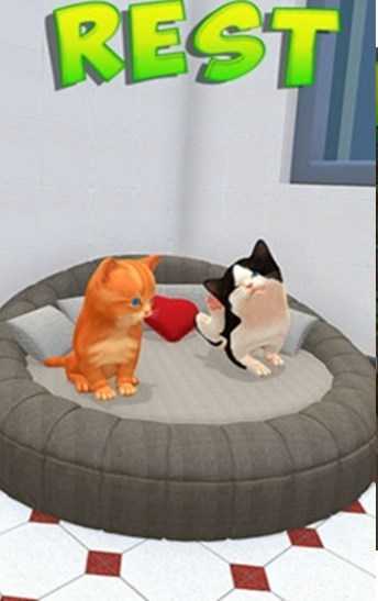 沙雕猫模拟器