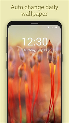 必应每日壁纸-图2