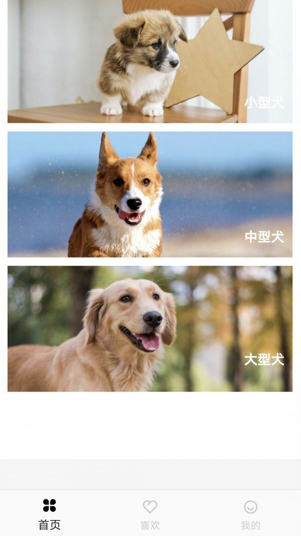 汪星人图谱-图2