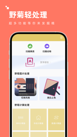 野菊轻处理-图2
