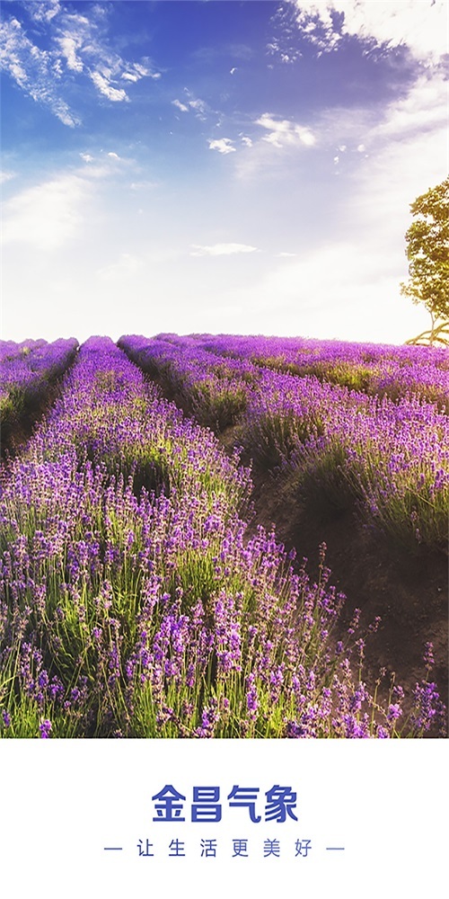 金昌天气预报-图1