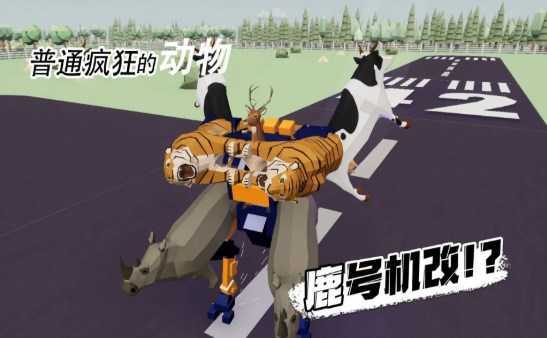 普通疯狂的动物