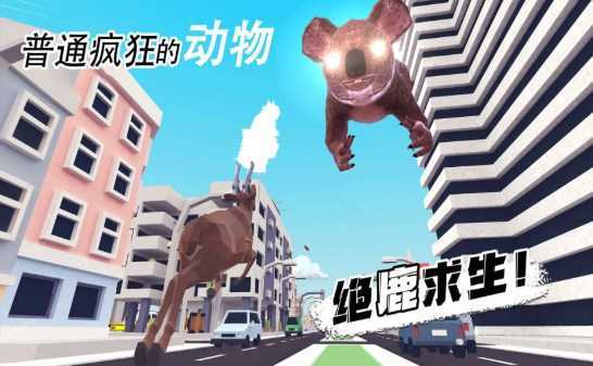 普通疯狂的动物