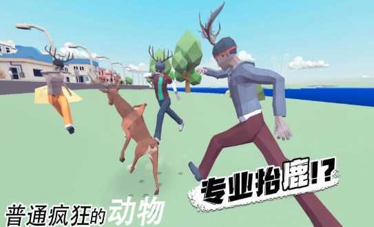 普通疯狂的动物