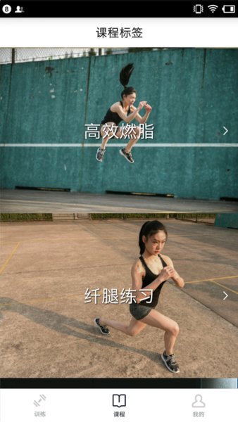 减脂瘦身宝典-图1