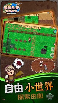 岛屿生存圣庙遗宝