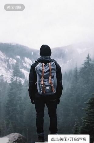 熊猫锁屏组件-图1