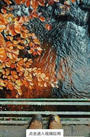 熊猫锁屏组件-图3