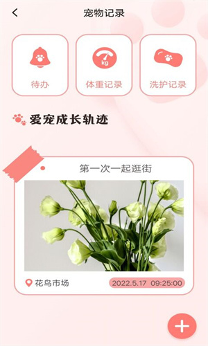 宠物日常记录-图3
