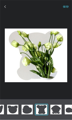 宠物日常记录-图4