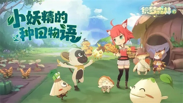 织梦森林测试服