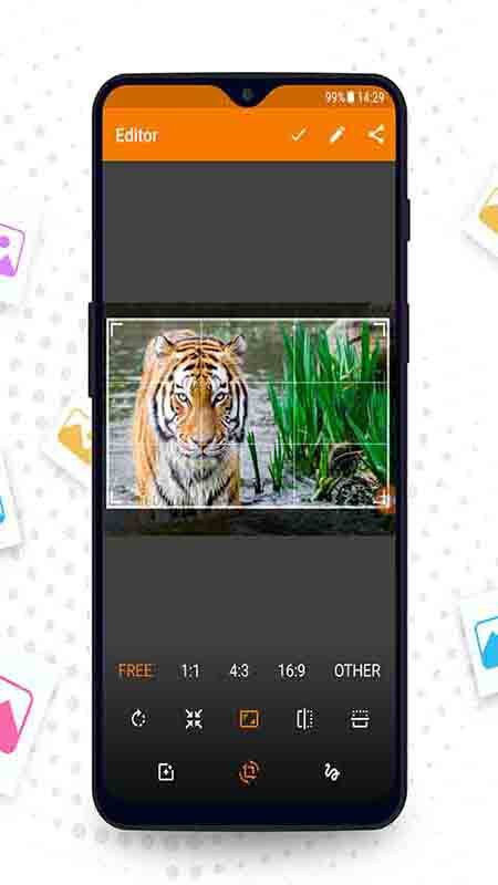 相册管理大师-图1