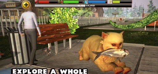 流浪猫模拟器