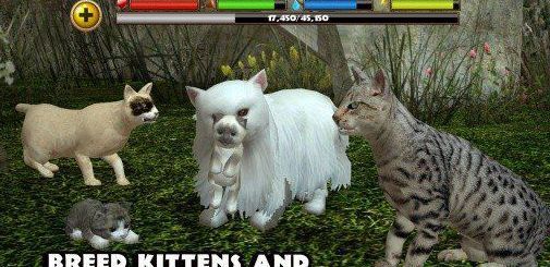 流浪猫模拟器