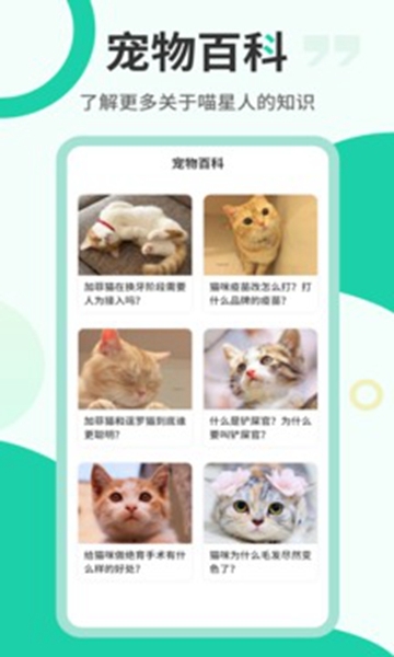 猫语翻译机-图1