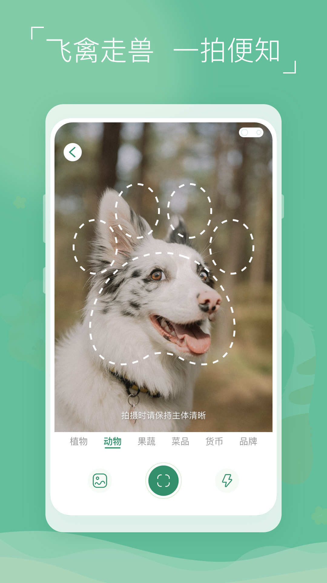 植物识别宝-图2
