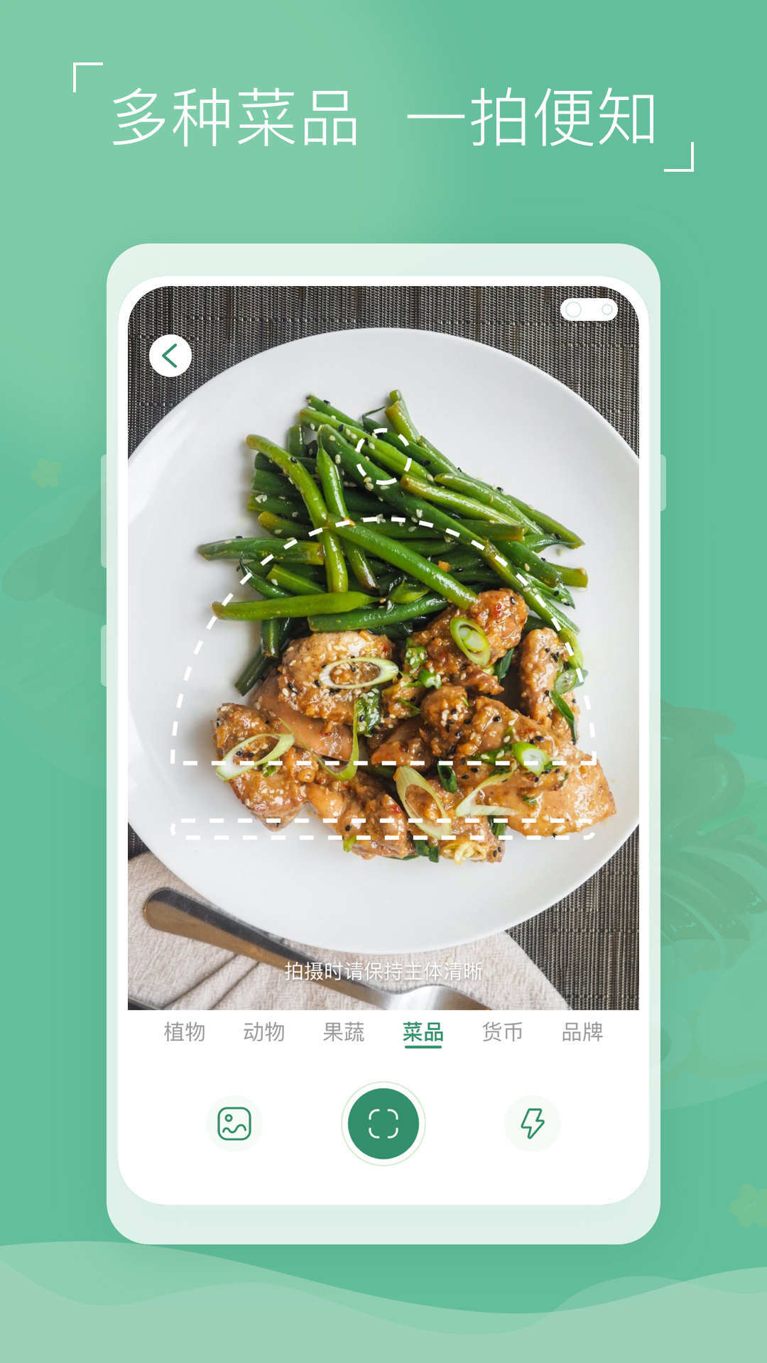 植物识别宝-图1