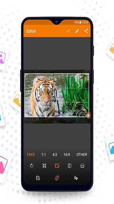 相册管理大师-图1