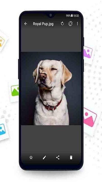 相册管理大师-图2