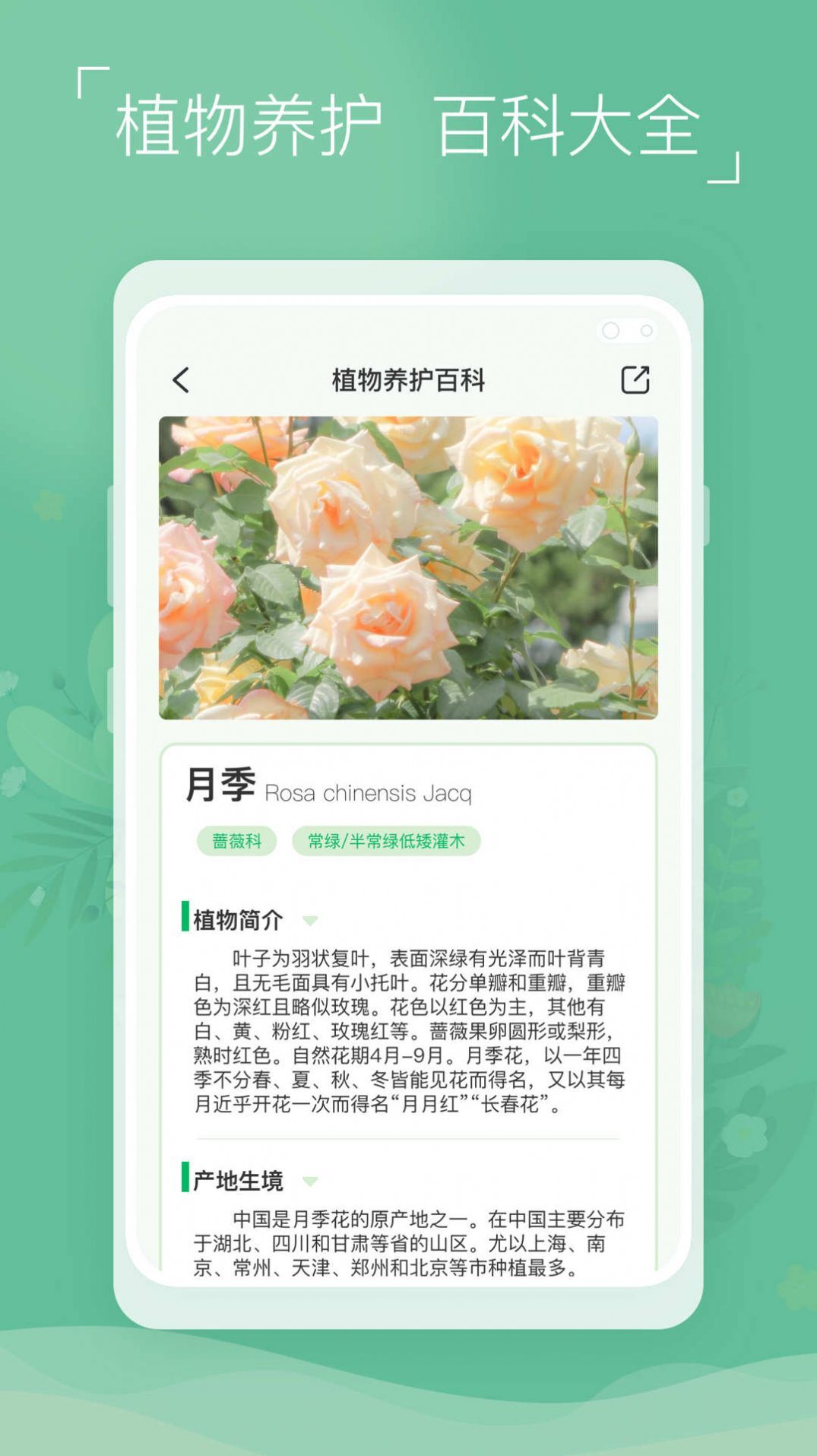 植物识别宝-图2