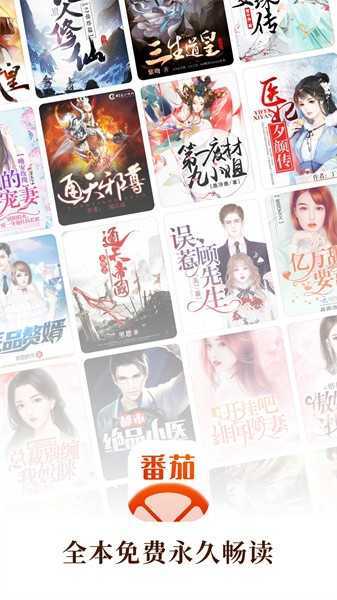 番茄阅读小说-图1