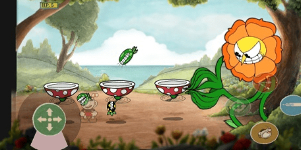 茶杯头卡格尼康乃馨