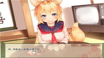 我与空狐的日常模拟器