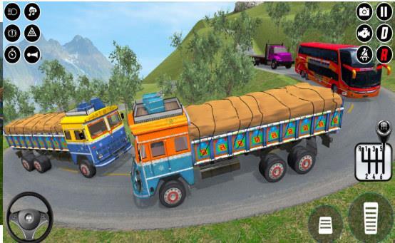 真正的印度卡车货运