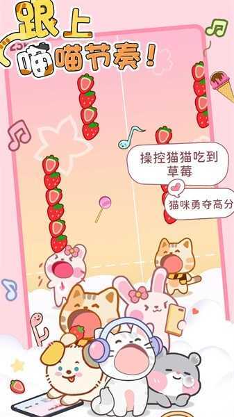 猫咪节奏达人
