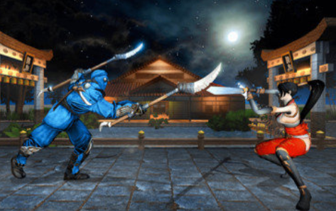 功夫忍者战斗