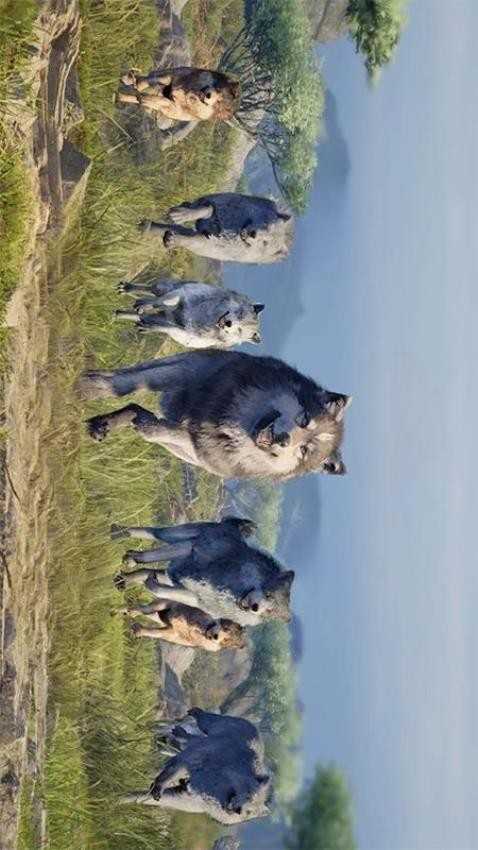 恶狼传说模拟器