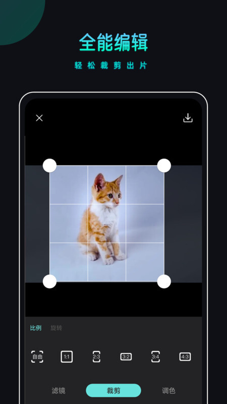 PicsDazz修图水印-图2