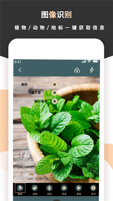 标准扫描王-图2
