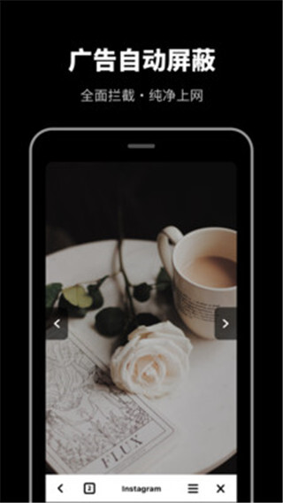 AR无痕浏览器-图2