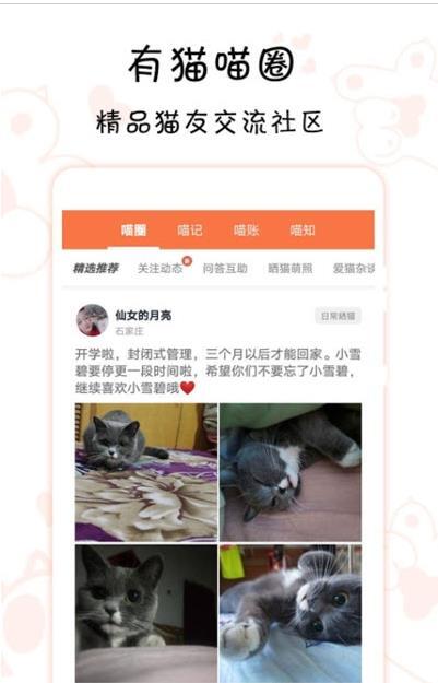 领喵-图3