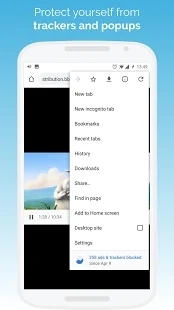 kiwibrowser浏览器-图1
