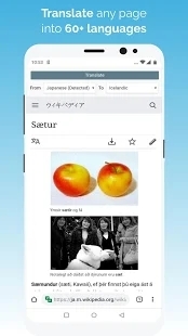 kiwibrowser浏览器-图4