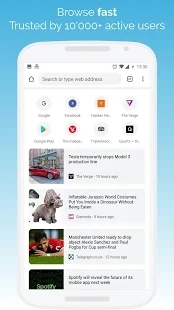 kiwibrowser浏览器-图5
