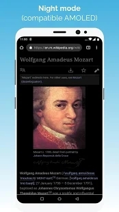 kiwibrowser浏览器-图2