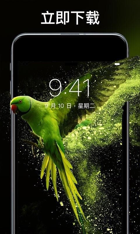 灵猫壁纸大全-图1