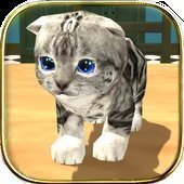 凯蒂卡夫猫咪模拟器