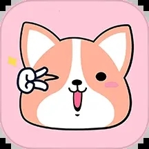 宠物小组件盒子